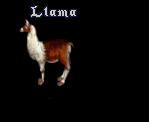 Llama.png