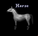 Horse.png